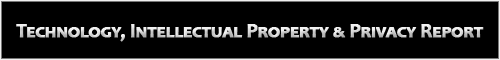 Technology, Intellectual Property & Privacy Report